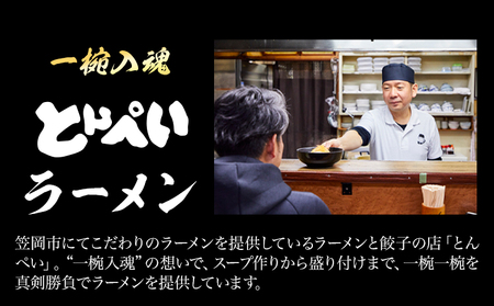 とんぺいの生ラーメン 5食入り　麺 ラーメン