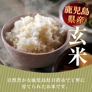 日置市産 玄米 ヒノヒカリ( 20kg ) 玄米 訳アリ 訳あり ご飯 ごはん 【末永商店】No.930-C