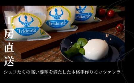 飛騨生乳100％ モッツァレラチーズ 2個（各125g）| チーズトリデンテ LF001