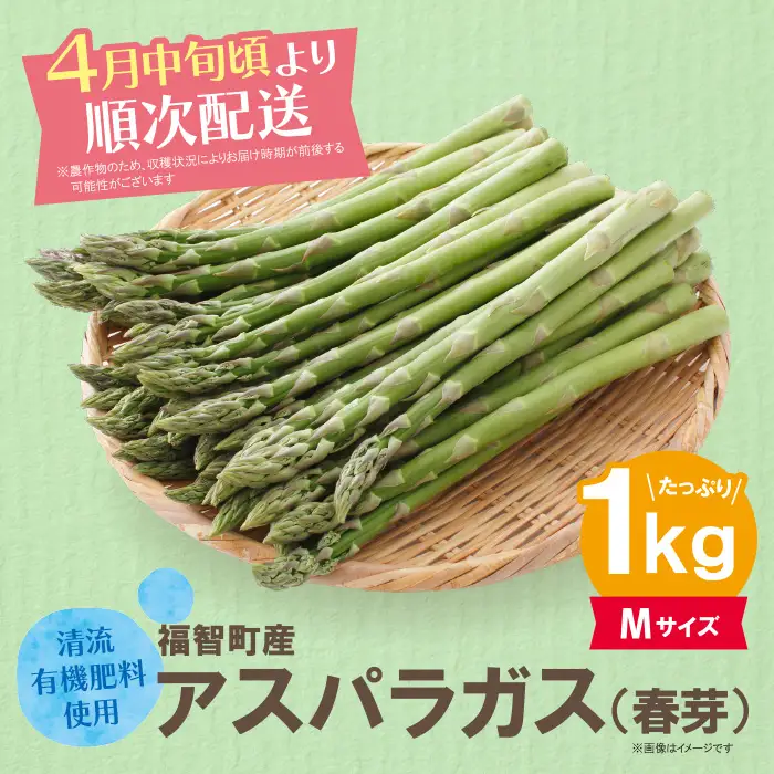 AA61-191-01 清流・有機肥料使用 アスパラガス(春芽) 1kg(M) 【2027年4月より順次配送開始】 