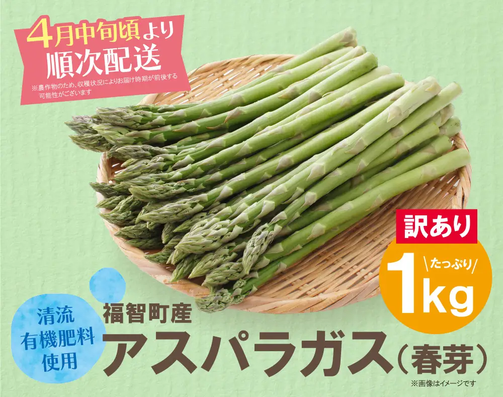 Z61-192 【訳あり】清流・有機肥料使用 アスパラガス(春芽) 1kg 【2027年4月より順次出荷】