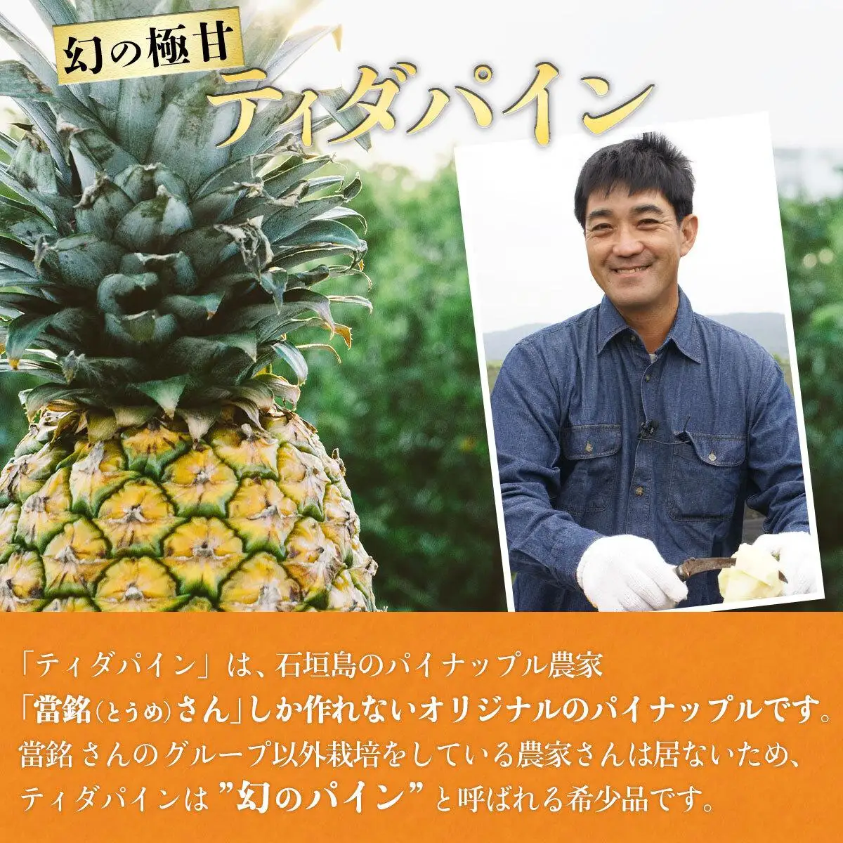 パイナップル 當銘さんの完熟カットパイン 1.25kg (250g×5袋)