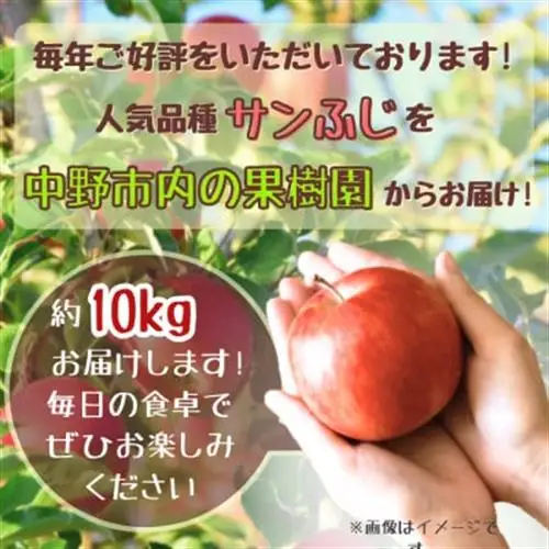 ◆2026年12月中発送◆りんご サンふじ家庭用 約10kg(24～42玉)【1494948】
