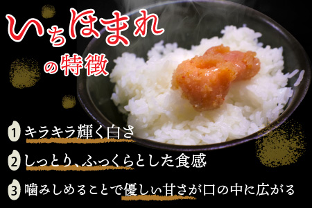 令和7年度産 福井県産新ブランド米 いちほまれ 10kg（5kg×2袋）[B-002027]