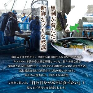 【先行受付】天然ブリ まるごと1本 5kg～8kg 土佐清水産 下処理【天然ブリ】【R00874】
