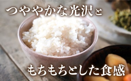 令和5年産！糸島のお米 夢つくし 「糸島美人」5kg  糸島市 / 伊都菜彩 [AED013]