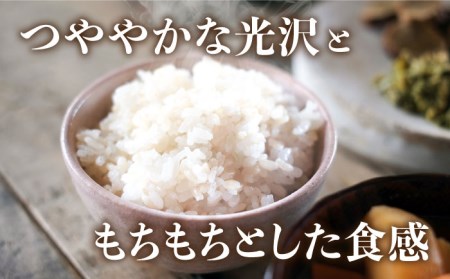 令和5年産！【無洗米】糸島のお米 夢つくし 「糸島美人」5kg  糸島市 / 伊都菜彩 [AED014]