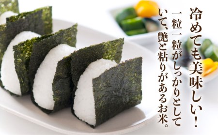 糸島のお米 元気つくし 10kg （ 5kg×2 ）  糸島市 / 伊都菜彩 [AED018]