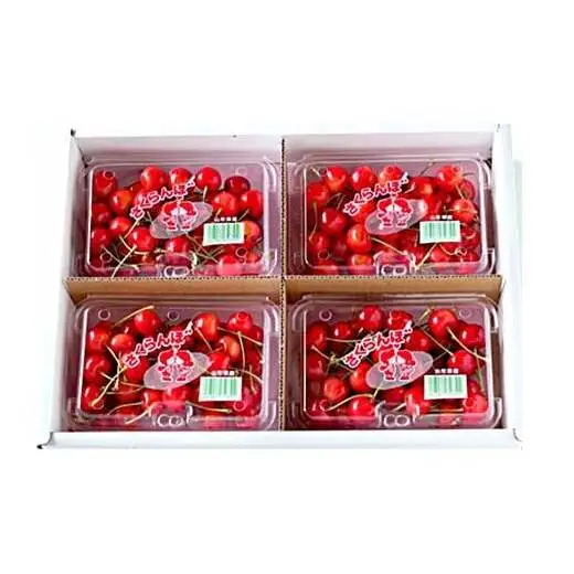 【令和9年産先行予約】 〈訳あり品 家庭用〉 さくらんぼ 「佐藤錦」 約800g (200g×4パック Mサイズ) 《令和9年6月中旬～発送》 『田口農園』 サクランボ 生産農家直送 小分け 果物 フルーツ 山形県 南陽市 [1691]