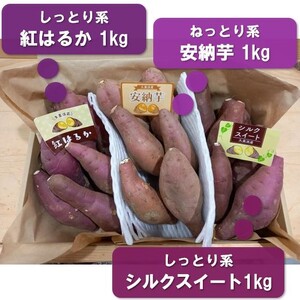 【先行予約／数量限定】直売所直送「京都・京丹後産 訳あり さつまいも3種食べ比べセット」計3kg（2026年10月下旬～発送）