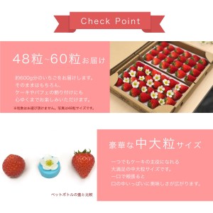 大空夏いちご農園　希少な夏いちご『サマープリンセス』１箱（2パック入り）【お届け希望日をご指定下さい（７月下旬から11月中旬まで）】