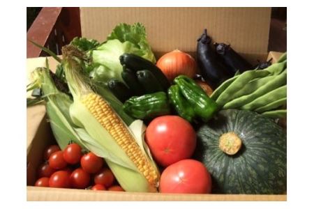 野菜ボックス（2回）