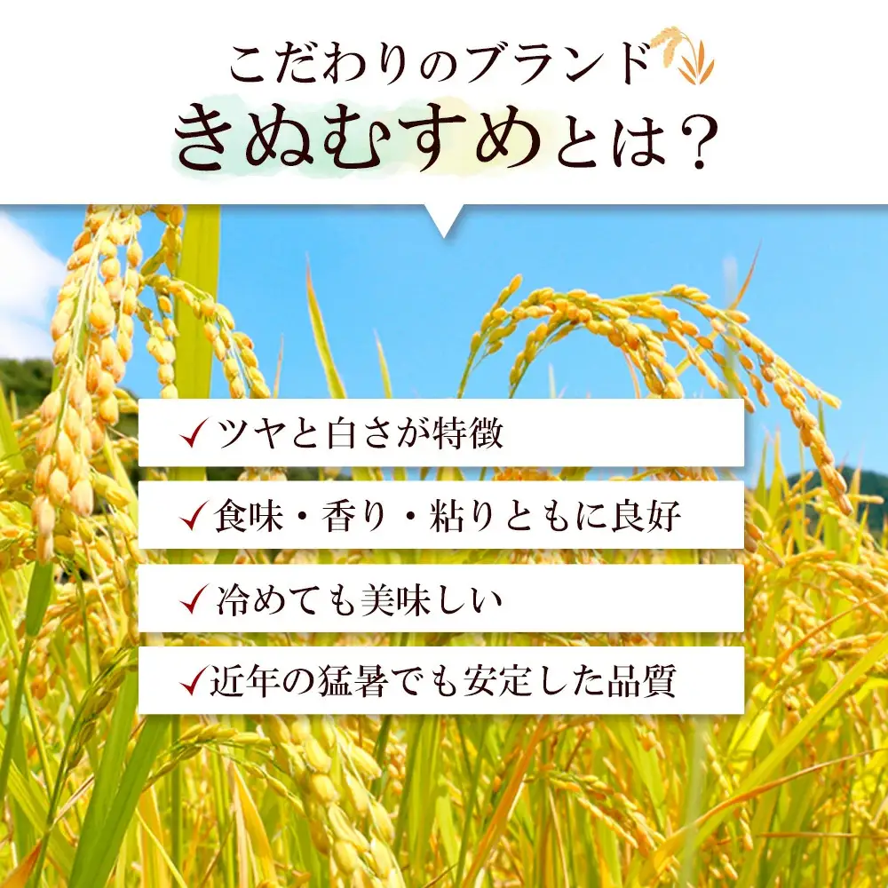 【スピード配送】きぬむすめ 10kg 白米 令和７年産