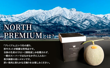 富良野メロン フルーツ NORTH PREMIUM メロン【2玉 計約4kg以上】