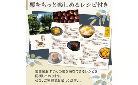 【 吉原農場 の 完熟栗 】 熟成 栗 お楽しみ セット ( 生栗 Lサイズ )