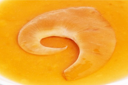 フカヒレ 気仙沼産 ふかひれ姿煮 背びれ 約70g×2枚 