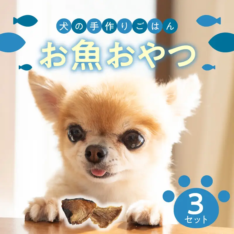 ドッグフード 無添加 お魚おやつ3点セット 【犬の手作りごはん】 R15001