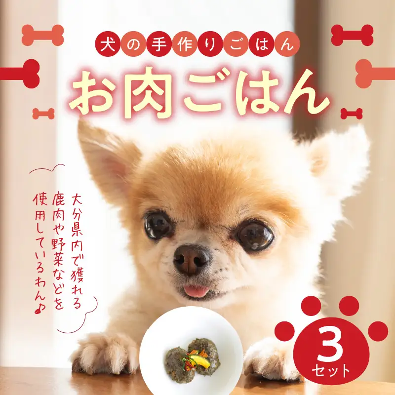 ドッグフード 無添加 お肉ごはん3点セット 【犬の手作りごはん】 R15005