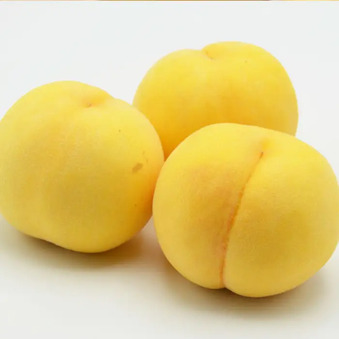 山形の黄桃 約3kg(6～13玉)[柔らかくなる品種・果肉やや硬め]【令和8年産先行予約】FU22-055 くだもの 果物 フルーツ 山形 山形県 山形市 2026年産