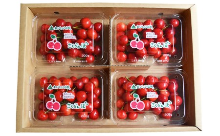 山形のさくらんぼ 紅てまり Lサイズ以上 720g(180g×4) 【令和9年産先行予約】FS25-524