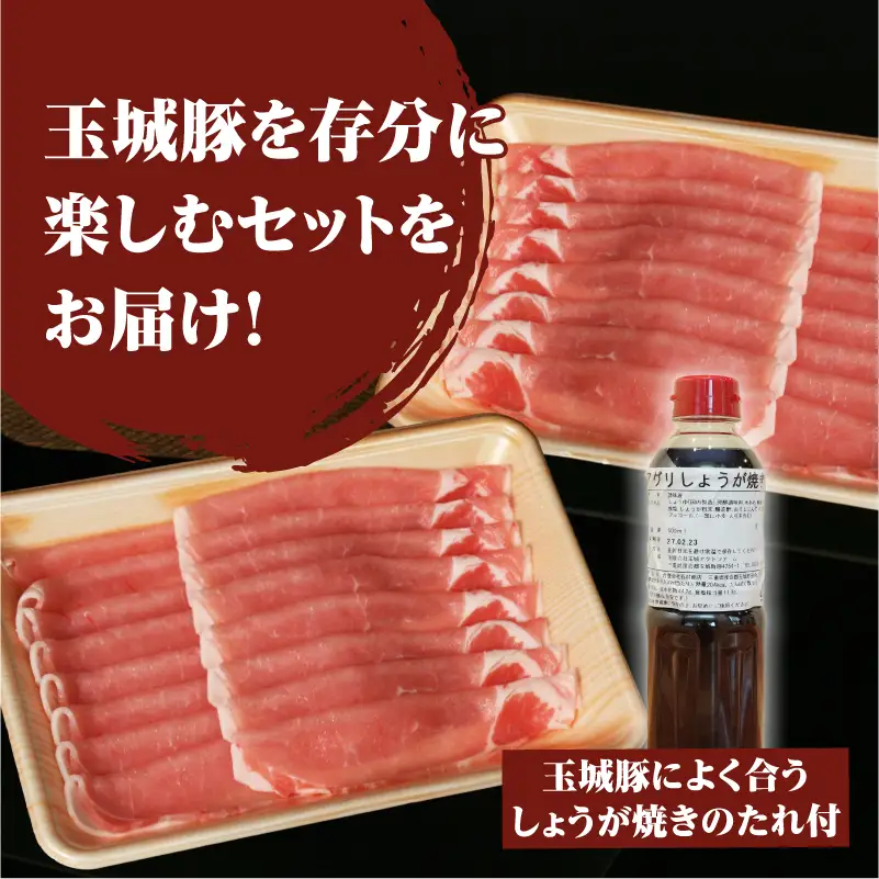 玉城豚ロース生姜焼きセット [肉 豚肉 ]