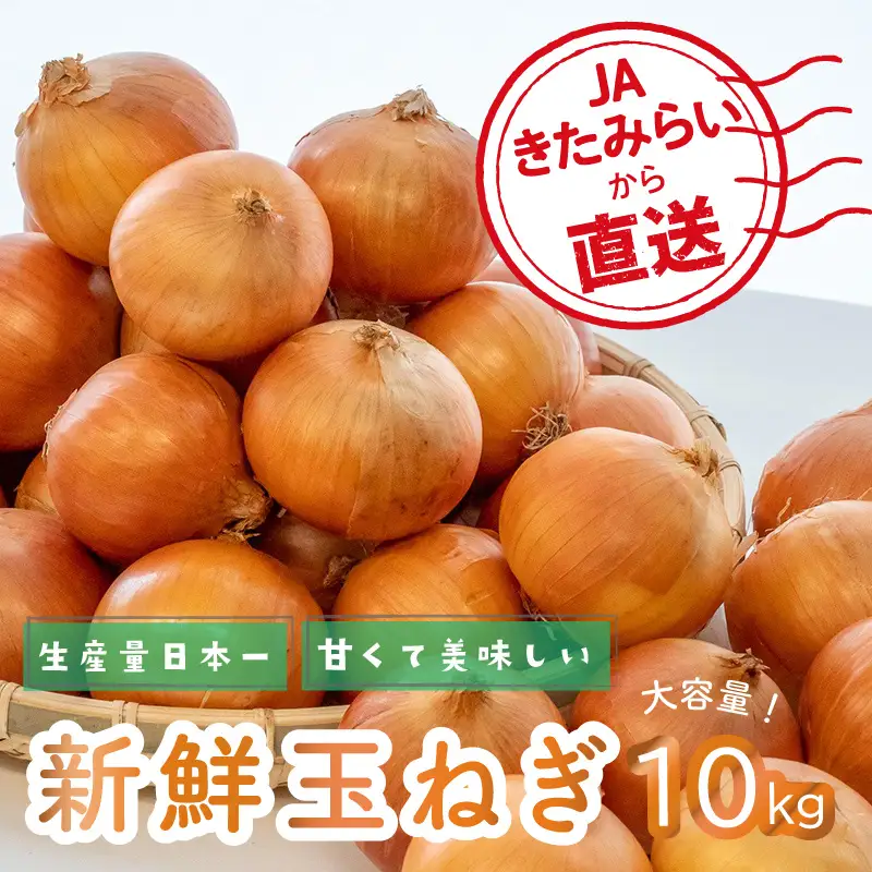 【隔月2回(1月・3月)定期便】JAきたみらいから直送する新鮮玉ねぎ 10kg Lサイズ以上 ( 野菜 定期便 玉葱 たまねぎ 期間限定 )【999-0007-2026】