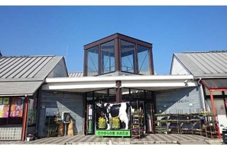 T03018 道の駅たけゆらの里おおたき特選詰め合わせC