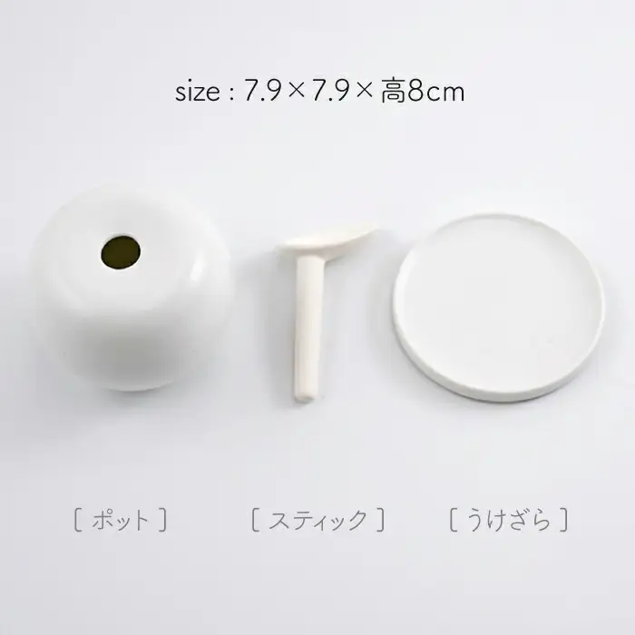 アロマディフューザーFragrancefruit(Apple)1点 NAU027 