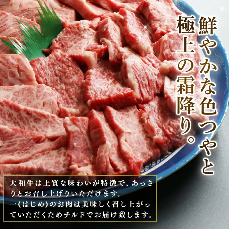 大和牛焼肉セット 大和牛ロース 350g 上カルビ 300g 牛肉 H-45