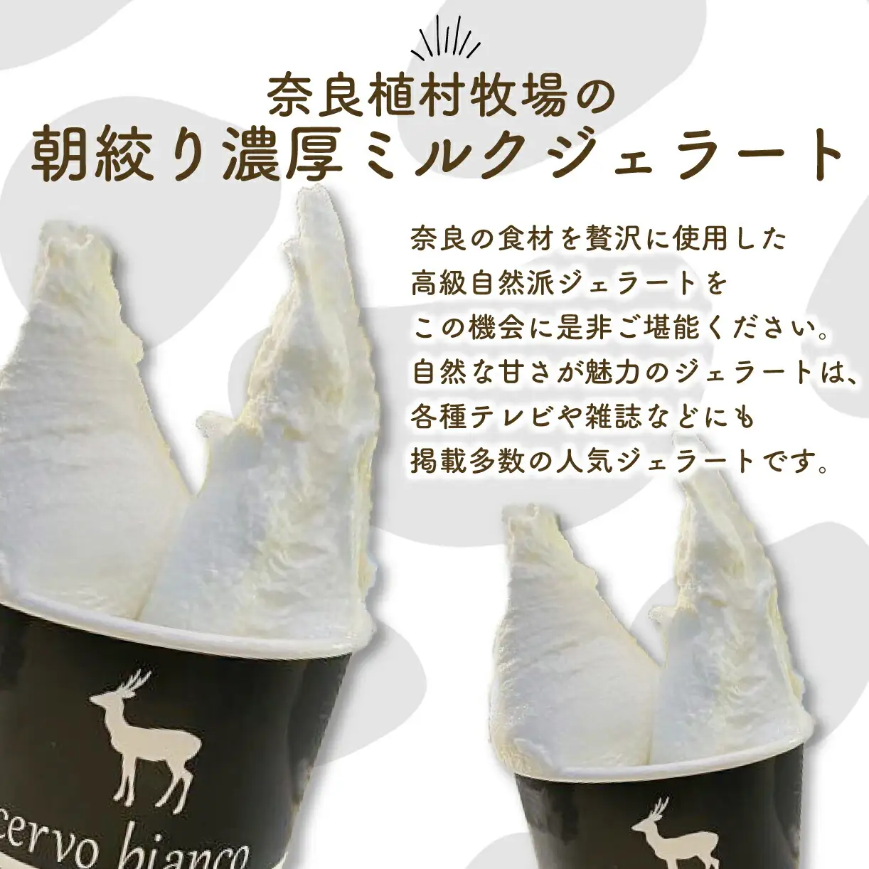 贅沢ミルクジェラート5個セット アイス J-47