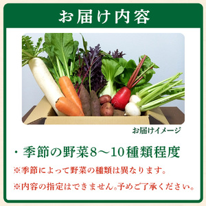 【自然が育む新鮮野菜】こばやし季節の野菜詰め合わせセット（ 野菜セット 季節野菜セット 新鮮野菜セット 旬野菜セット 小林市野菜セット ）