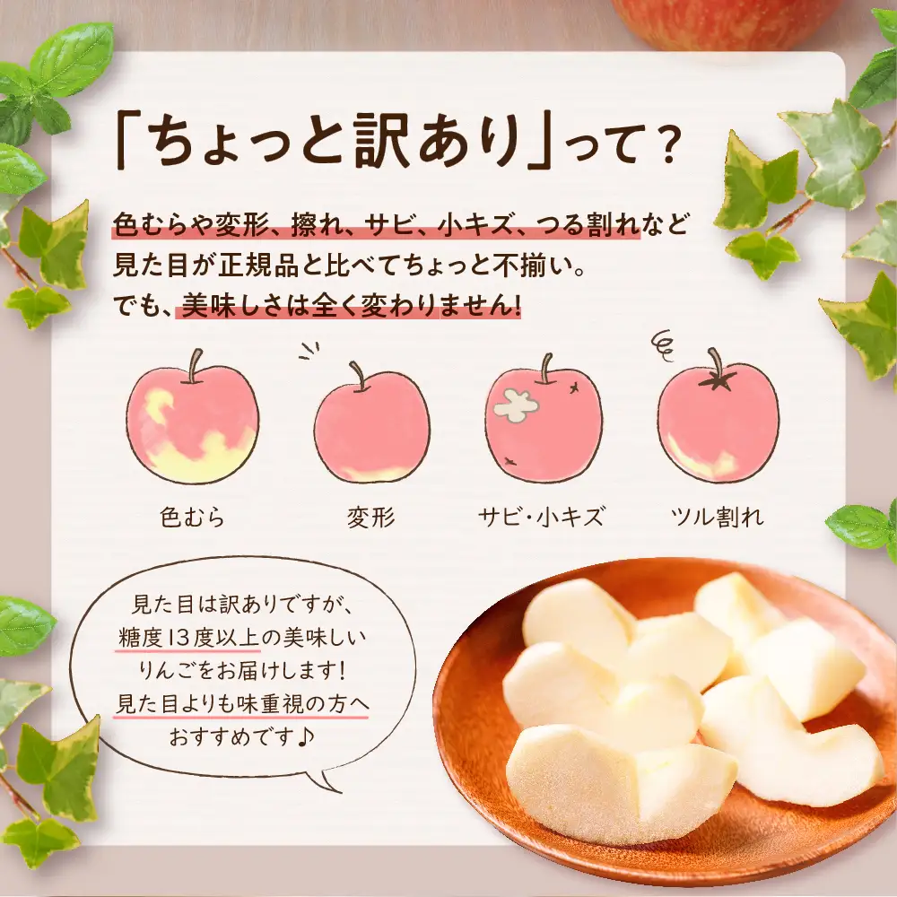【2026年12月前半発送】【ちょっと訳あり】 りんご 約10kg サンふじ 青森県産 りんご