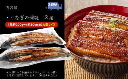 数量限定 国産 特大うなぎ 2尾 鰻