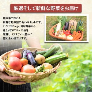 旬の味覚セット お米(ヒノヒカリ) 5kg・熊本の新鮮お野菜(6～10品目) (詰め合わせ) | 熊本県 熊本 くまもと 和水町 なごみ 米 ひのひかり ヒノヒカリ 季節の野菜 野菜 詰め合わせ セット