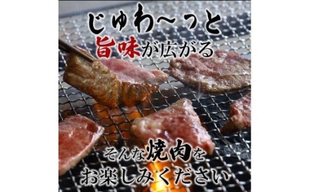 A５ランクの熊本黒毛和牛　焼肉用　400ｇG-42 | 熊本県 熊本 くまもと 和水町 なごみまち なごみ 牛肉 肉 黒毛和牛 肥後 冷凍 焼肉 A5ランク A5