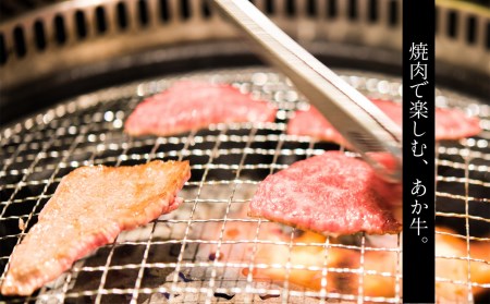 肥後の赤牛　焼肉用 500g | 熊本県 熊本 くまもと 和水町 なごみまち なごみ 牛肉 肉 あか牛 赤牛 肥後 冷凍 焼肉 500g