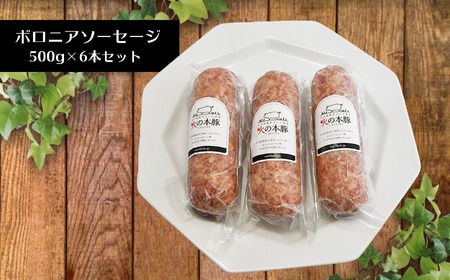 火の本豚 ボロニアソーセージ（500ｇ×6本セット） | ソーセージ 熊本 ソーセージ 熊本県 ソーセージ くまもと ソーセージ 和水 ソーセージ 和水町 ソーセージ なごみ