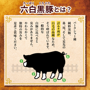 和水 黒いダイヤモンド「六白黒豚」餃子 60個（30個入り×2P） | 熊本県 熊本 くまもと 和水町 なごみまち なごみ 豚肉 黒豚 餃子 ぎょうざ ギョウザ 冷凍 惣菜