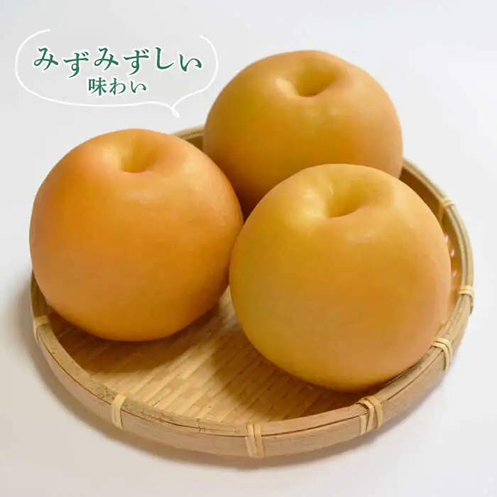 【2026年8月-発送】【南島原産】豊水 梨 （12個から14個） / 梨 なし ナシ 果物 フルーツ / 南島原市 / ながいけ [SCH038]