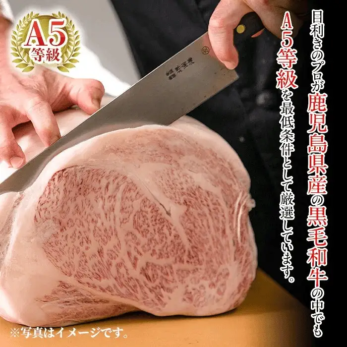 C0-109 ≪数量限定≫A5等級！鹿児島黒牛赤身詰め合わせ(赤身ステーキ500g・もも肉500g)(牛脂付き)【九面屋】