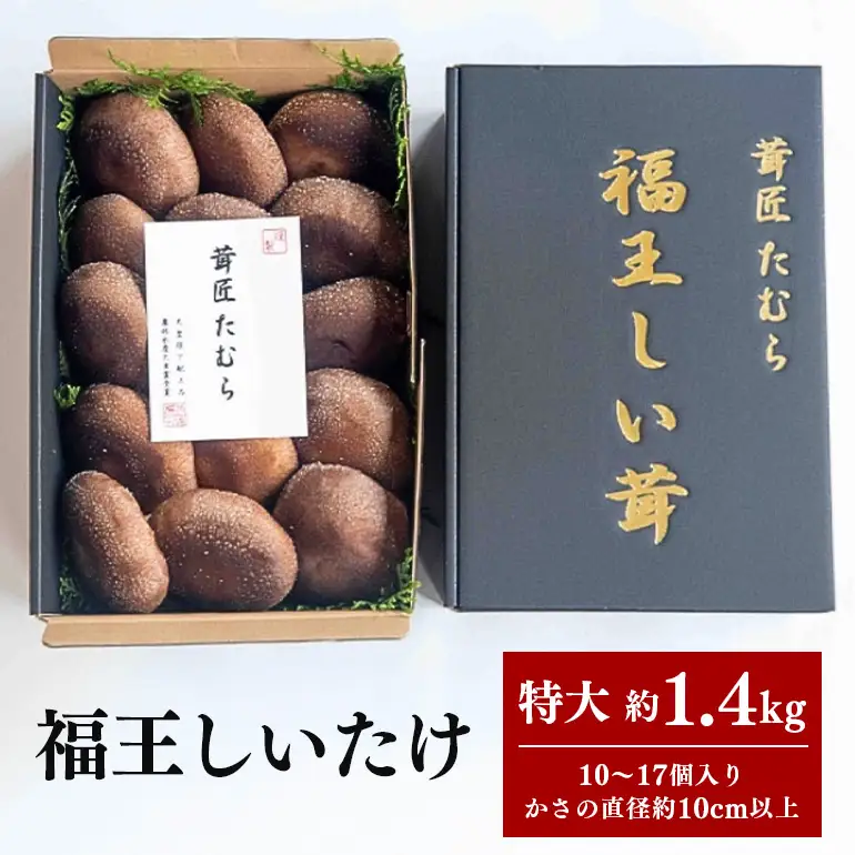 【先行販売/2026年10月末以降発送】 福王しいたけ 特大サイズ 約1.4kg IA-008