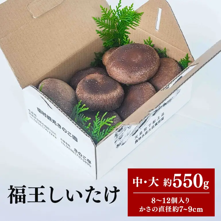 【先行販売/2026年10月末以降発送】福王しいたけ 中～大サイズ 約550g IA-001