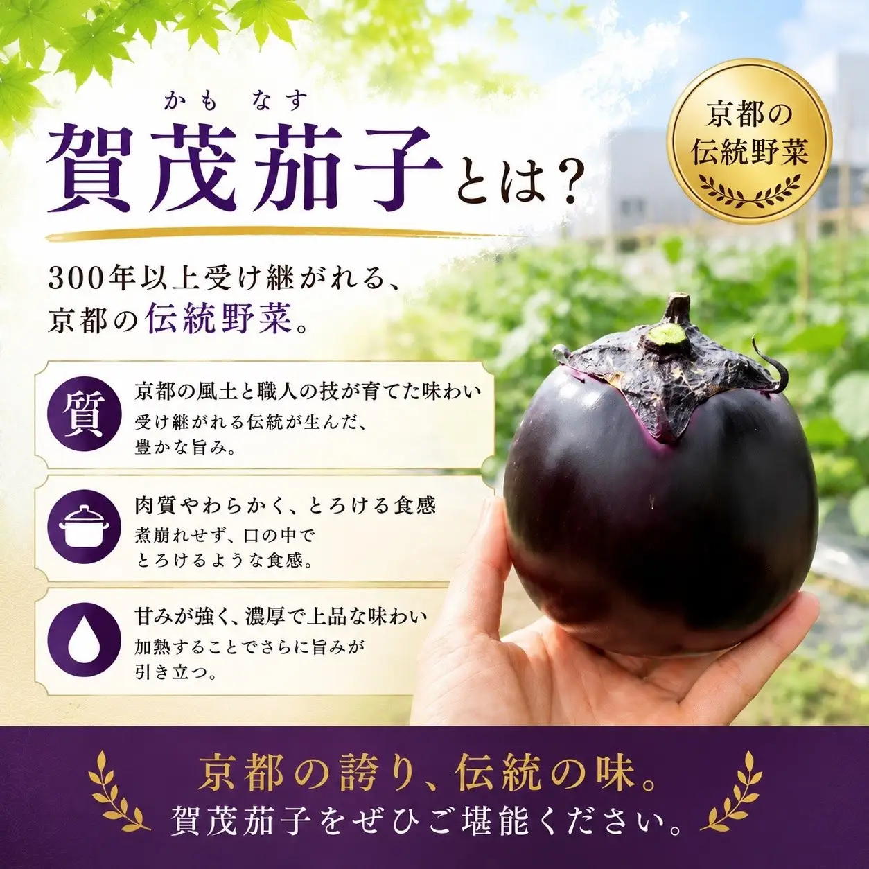夏の京野菜「3種セット」賀茂茄子・万願寺とうがらし・伏見とうがらし｜やさい　やさい
