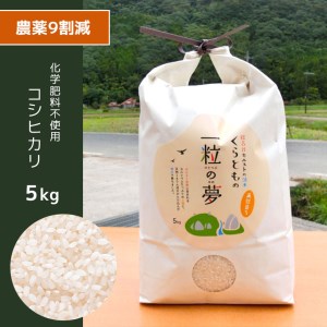農薬9割減・化学肥料不使用 コシヒカリ 5kg 令和6年産 米 (2025年2月以降の発送予定)
