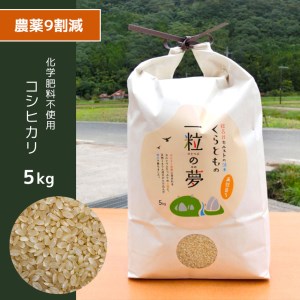 農薬9割減・化学肥料不使用 コシヒカリ(玄米) 5kg 令和6年産 米 (2025年2月以降の発送予定)