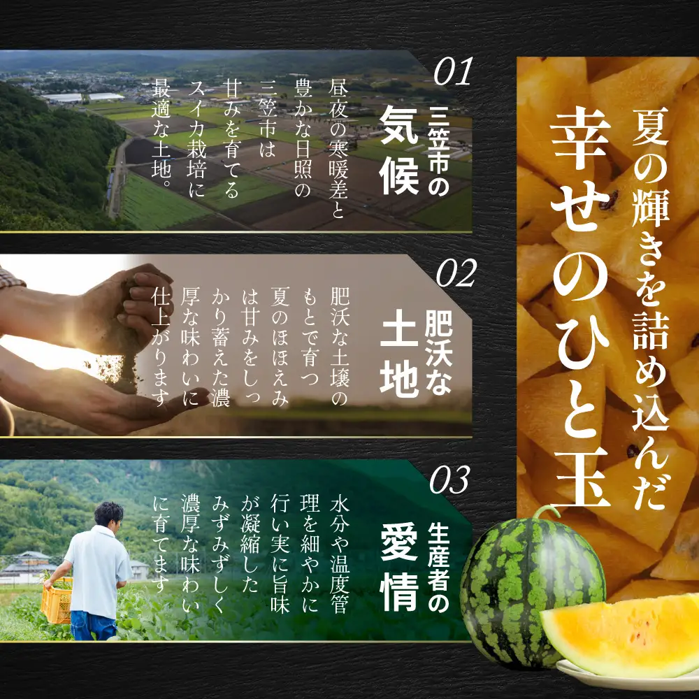 《2026年分受付中》黄色いスイカ夏のほほえみ1玉(4～6kg)【01146】