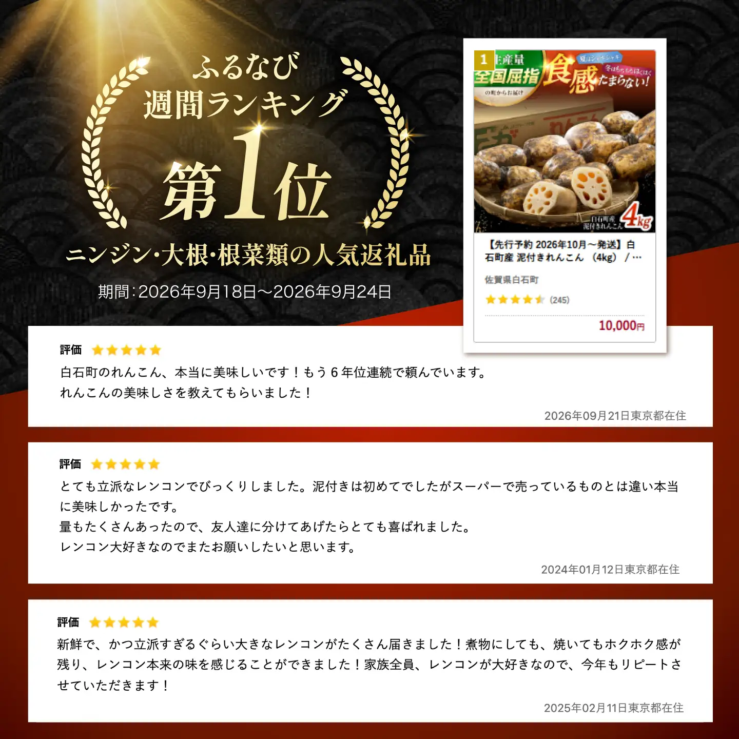 先行予約 2026年10月～発送】白石町産 泥付きれんこん （4kg