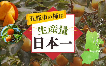 富有柿 わけあり ！ 約 7kg | 訳アリ 訳あり 家庭用 ご家庭用 奈良 お歳暮 秋 味覚 フルーツ 果物 くだもの 柿 かき カキ 奈良県 五條市
