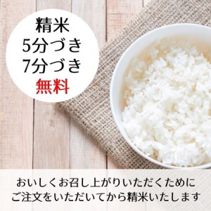 【令和7年産】こしひかり 玄米 10kg 玄米