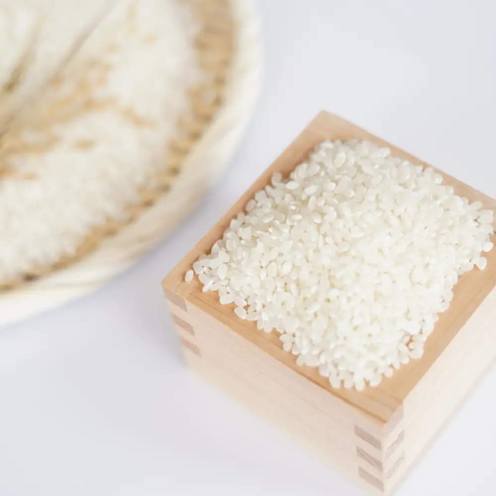 【令和6年産】 農家直送！北海道壮瞥町産 ななつぼし5kg×3ヶ月連続お届け 定期便 精米 白米 SBTP009